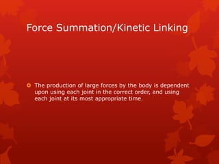 Force Summation/Kinetic Linking 
 The production of large forces by the body is dependent 
upon using each joint in the correct order, and using 
each joint at its most appropriate time. 
 