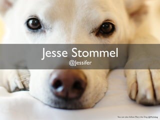 Jesse Stommel 
@Jessifer 
You can also follow Mary the Dog @MLAdog 
 