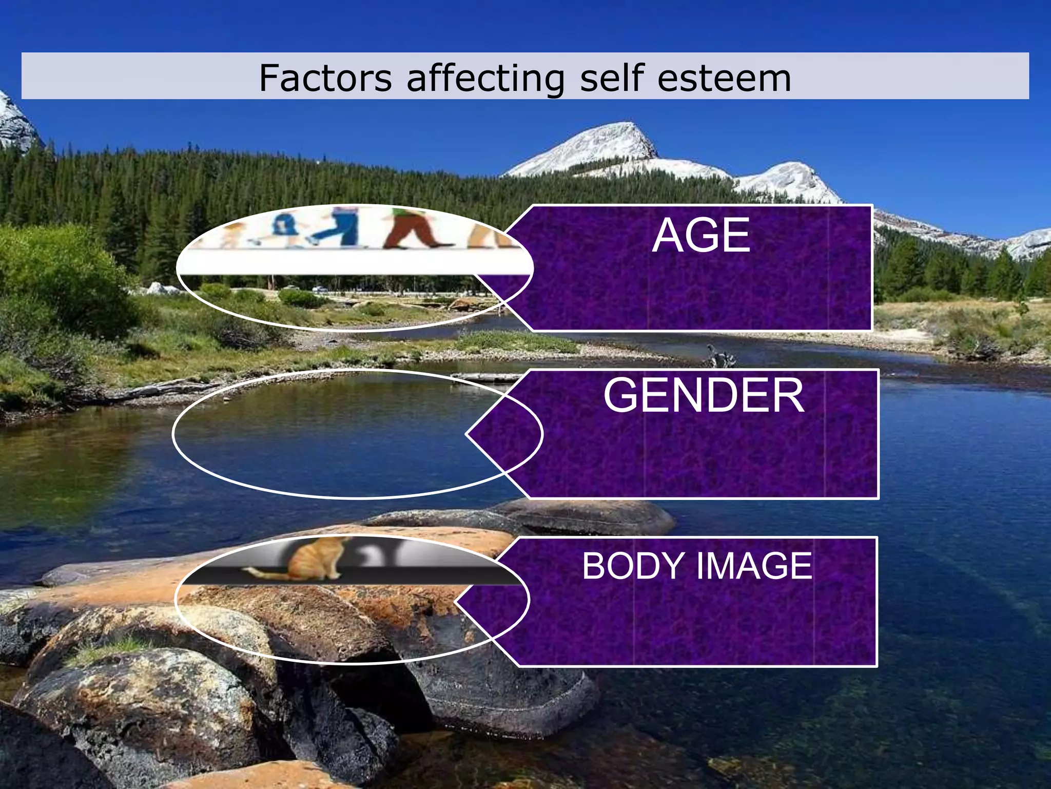 AGE
GENDER
BODY IMAGE
Factors affecting self esteem
 