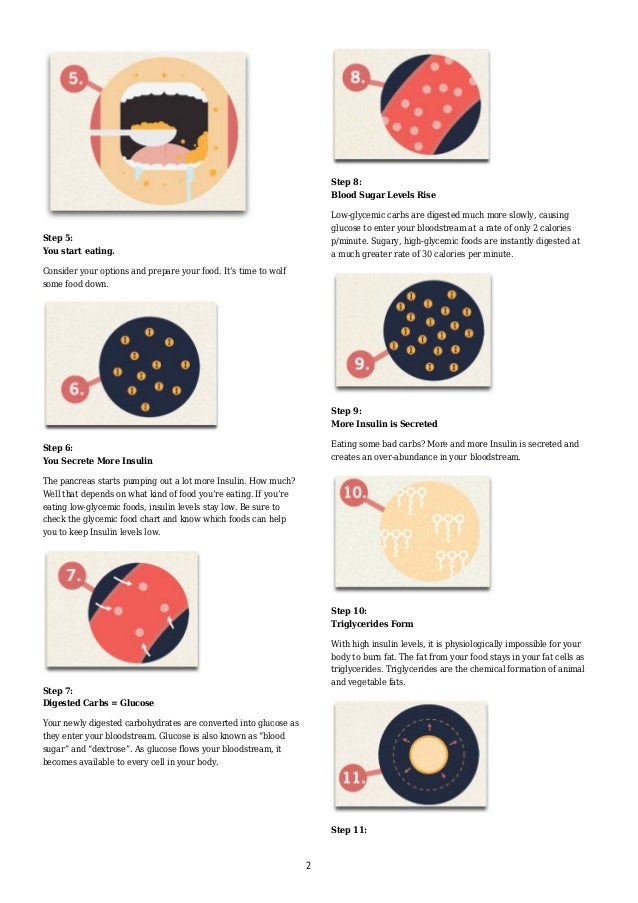 12 Steps of Fat Storage