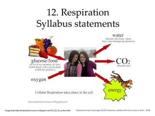 09/04/2016
12. Respiration
Syllabus statements
Statements from Cambridge IGCSE Chemistry syllabus 0610 (for exams in 2016 – 2018)Image from http://homeschoolersresources.blogspot.com/2012_02_01_archive.html
 