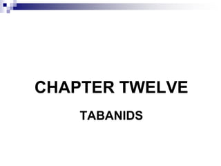 TABANIDS
CHAPTER TWELVE
 