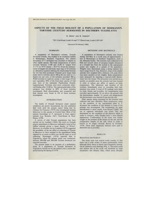 Testudo hermanni, Hermanns tortoise, field biology