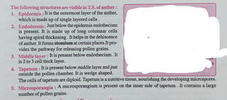 12th Bio Chapter 2 notes of cbseboard.pdf
