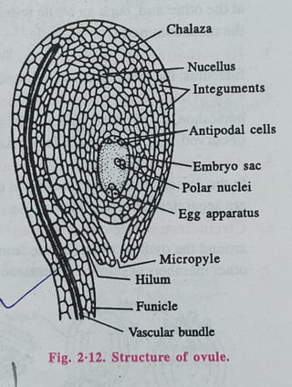 12th Bio Chapter 2 notes of cbseboard.pdf
