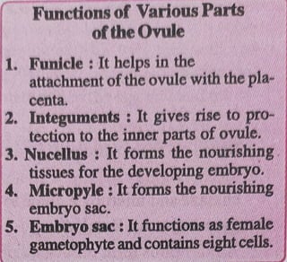 12th Bio Chapter 2 notes of cbseboard.pdf