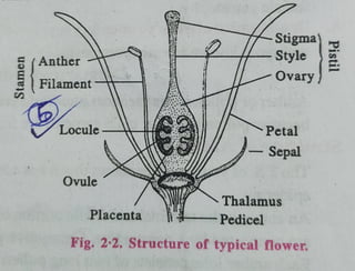 12th Bio Chapter 2 notes of cbseboard.pdf