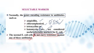 12th Biology Biotechnology Principles and Processes Part 3 | PPT