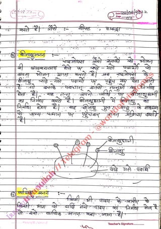 ....ulenple hariccaT
<br>
,
<br>
Pago
<br>
Teacher's Signature.......
<br>
 