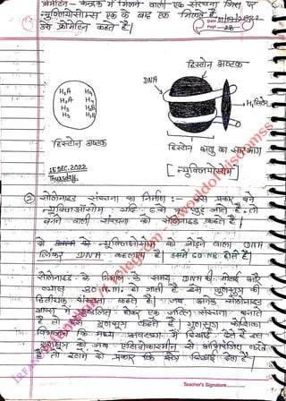 -
<br>
H,A
<br>
Hg
<br>
Hs
<br>
Hy
<br>
Hy
<br>
H8
<br>
15DEC.2022
<br>
Thuasday
<br>
DNA
<br>
Dato
<br>
Pago
<br>
28
<br>
Teacher's Signature....
<br>
 