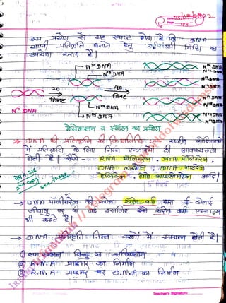 N
DNA
<br>
h
<br>
20
<br>
-NDNA
<br>
fafe
<br>
Teacher's Signature..
<br>
DNA
<br>
 