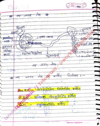 50
<br>
Gn RH
<br>
LH
<br>
(ET5TJ
<br>
Date
<br>
Page
<br>
T
<br>
Teacher's Signature.
<br>
 