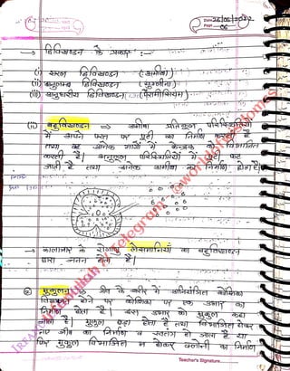 Cstoep!hooreT
<br>
t.
<br>
Pago S
<br>
Teachers Signature.....
<br>
 