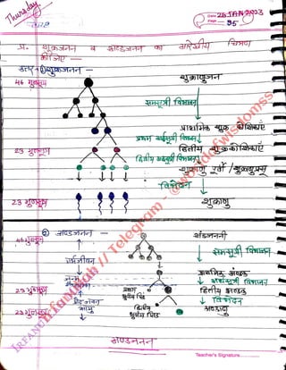 Thuns
day
<br>
23
<br>
23 310
<br>
2320
<br>
fay
<br>
26SAN3
<br>
95
<br>
Page
<br>
Teacher's Signature.
<br>
 
