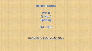Biology Practical
Part B
Q. No. 4
Spotting
Std:- 12th
ACADEMIC YEAR 2020-2021
 
