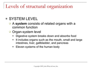 Levels of structural organization SYSTEM LEVEL A  system  consists of related organs with a common function Organ-system level Digestive system breaks down and absorbs food It includes organs such as the mouth, small and large intestines, liver, gallbladder, and pancreas  Eleven systems of the human body Copyright 2009, John Wiley & Sons, Inc. 