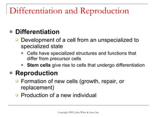 Differentiation and Reproduction Differentiation Development of a cell from an unspecialized to specialized state Cells have specialized structures and functions that differ from precursor cells Stem cells  give rise to cells that undergo differentiation Reproduction Formation of new cells (growth, repair, or replacement) Production of a new individual Copyright 2009, John Wiley & Sons, Inc. 