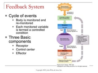 Feedback System  Cycle of events Body is monitored and re-monitored Each monitored variable is termed a controlled condition Three Basic components Receptor Control center Effector Copyright 2009, John Wiley & Sons, Inc. 