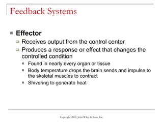 Feedback Systems Effector Receives output from the control center Produces a response or effect that changes the controlled condition Found in nearly every organ or tissue Body temperature drops the brain sends and impulse to the skeletal muscles to contract  Shivering to generate heat Copyright 2009, John Wiley & Sons, Inc. 