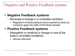 Negative and Positive Feedback systems Negative Feedback systems Reverses a change in a controlled condition Regulation of blood pressure (force exerted by blood as it presses again the walls of the blood vessels) Positive Feedback systems Strengthen or reinforce a change in one of the body’s controlled conditions Normal child birth Copyright 2009, John Wiley & Sons, Inc. 