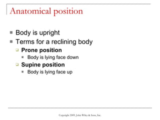 Anatomical position Body is upright Terms for a reclining body Prone position Body is lying face down Supine position Body is lying face up Copyright 2009, John Wiley & Sons, Inc. 