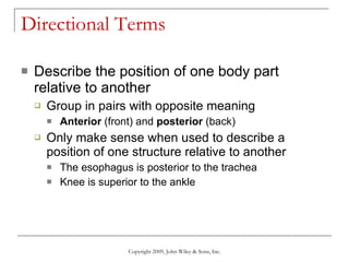 Directional Terms Describe the position of one body part relative to another Group in pairs with opposite meaning Anterior  (front) and  posterior  (back) Only make sense when used to describe a position of one structure relative to another  The esophagus is posterior to the trachea Knee is superior to the ankle Copyright 2009, John Wiley & Sons, Inc. 