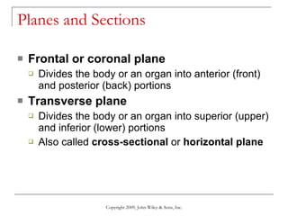 Planes and Sections  Frontal or coronal plane Divides the body or an organ into anterior (front) and posterior (back) portions Transverse plane   Divides the body or an organ into superior (upper) and inferior (lower) portions Also called  cross-sectional  or  horizontal plane Copyright 2009, John Wiley & Sons, Inc. 