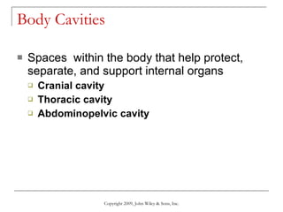 Body Cavities Spaces  within the body that help protect, separate, and support internal organs Cranial cavity Thoracic cavity Abdominopelvic cavity Copyright 2009, John Wiley & Sons, Inc. 
