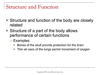 Structure and Function Structure and function of the body are closely related Structure of a part of the body allows performance of certain functions Examples: Bones of the skull provide protection for the brain Thin air sacs of the lungs permit movement of oxygen Copyright 2009, John Wiley & Sons, Inc. 