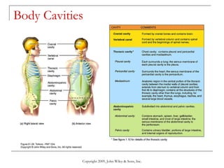 Body Cavities  Copyright 2009, John Wiley & Sons, Inc. 