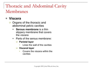 Thoracic and Abdominal Cavity Membranes Viscera Organs of the thoracic and abdominal pelvic cavities Serous membrane  is a thin slippery membrane that covers the viscera Parts of the serous membrane: Parietal layer Lines the wall of the cavities Visceral layer Covers the viscera within the cavities Copyright 2009, John Wiley & Sons, Inc. 