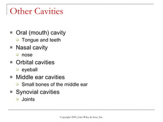 Other Cavities Oral (mouth) cavity Tongue and teeth Nasal cavity nose Orbital cavities eyeball Middle ear cavities Small bones of the middle ear Synovial cavities Joints  Copyright 2009, John Wiley & Sons, Inc. 