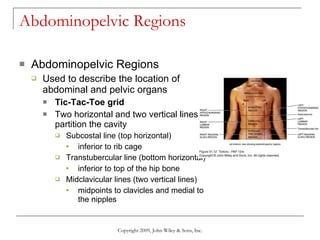 Abdominopelvic Regions Abdominopelvic Regions Used to describe the location of abdominal and pelvic organs Tic-Tac-Toe grid Two horizontal and two vertical lines partition the cavity Subcostal line (top horizontal) inferior to rib cage Transtubercular line (bottom horizontal) inferior to top of the hip bone Midclavicular lines (two vertical lines) midpoints to clavicles and medial to the nipples Copyright 2009, John Wiley & Sons, Inc. 