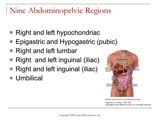 Nine Abdominopelvic Regions  Right and left hypochondriac Epigastric and Hypogastric (pubic) Right and left lumbar Right  and left inguinal (iliac) Right and left inguinal (iliac) Umbilical Copyright 2009, John Wiley & Sons, Inc. 