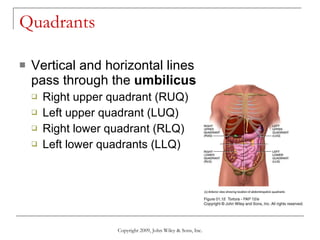 Quadrants  Vertical and horizontal lines pass through the  umbilicus Right upper quadrant (RUQ)  Left upper quadrant (LUQ) Right lower quadrant (RLQ)  Left lower quadrants (LLQ) Copyright 2009, John Wiley & Sons, Inc. 