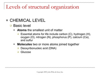 Levels of structural organization  CHEMICAL LEVEL Basic level  Atoms  the smallest unit of matter Essential atoms for life include carbon (C), hydrogen (H), oxygen (O), nitrogen (N), phosphorus (P), calcium (Ca), and sulfur Molecules  two or more atoms joined together Deoxyribonucleic acid (DNA) Glucose Copyright 2009, John Wiley & Sons, Inc. 