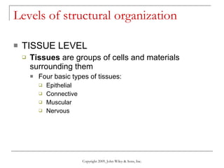 Levels of structural organization TISSUE LEVEL Tissues  are groups of cells and materials surrounding them Four basic types of tissues: Epithelial  Connective Muscular Nervous Copyright 2009, John Wiley & Sons, Inc. 