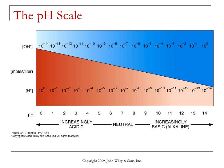 The Chemical Level of Organization