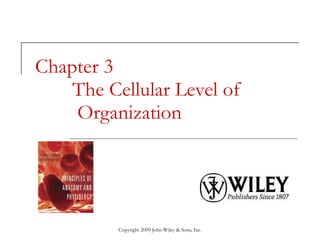 Chapter 3  The Cellular Level of    Organization 