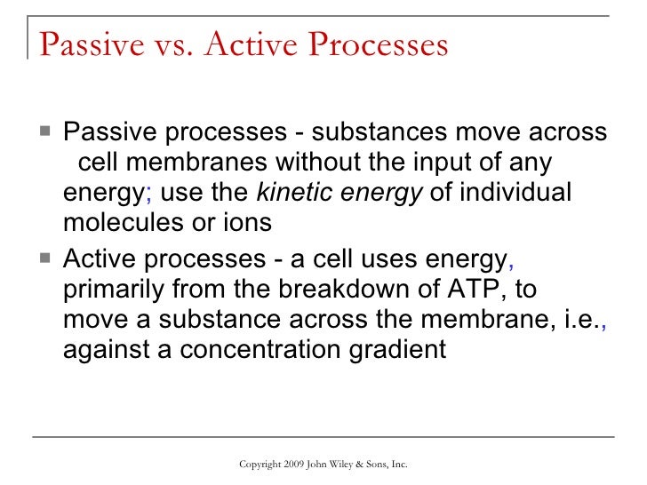 The Cellular Level of Organization