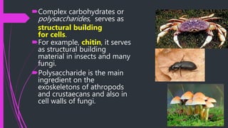 Complex carbohydrates or
polysaccharides, serves as
structural building
for cells.
For example, chitin, it serves
as structural building
material in insects and many
fungi.
Polysaccharide is the main
ingredient on the
exoskeletons of athropods
and crustaecans and also in
cell walls of fungi.
 