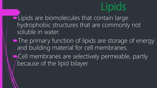 Lipids
Lipids are biomolecules that contain large
hydrophobic structures that are commonly not
soluble in water.
The primary function of lipids are storage of energy
and building material for cell membranes.
Cell membranes are selectively permeable, partly
because of the lipid bilayer.
 