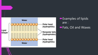 Examples of lipids
are :
Fats, Oil and Waxes
 