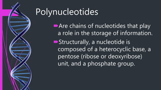 Polynucleotides
Are chains of nucleotides that play
a role in the storage of information.
Structurally, a nucleotide is
composed of a heterocyclic base, a
pentose (ribose or deoxyribose)
unit, and a phosphate group.
 