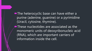 The heterocyclic base can have either a
purine (adenine, guanine) or a pyrimidine
(Uracil, cytosine, thymine).
These nucleotides are associated as the
monomeric units of deoxyribonucleic acid
(RNA), which are important carriers of
information inside the cell.
 
