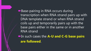 Base-pairing in RNA occurs during
transcription when RNA strand pairs up with
DNA template strand or when RNA strand
coils up and temporarily pairs up with the
base pairs either in the same or in another
RNA strand
In such cases the A-U and C-G base pairs
are followed.
 