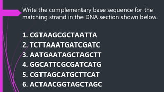 Write the complementary base sequence for the
matching strand in the DNA section shown below.
1. CGTAAGCGCTAATTA
2. TCTTAAATGATCGATC
3. AATGAATAGCTAGCTT
4. GGCATTCGCGATCATG
5. CGTTAGCATGCTTCAT
6. ACTAACGGTAGCTAGC
 