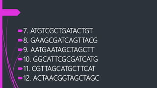 7. ATGTCGCTGATACTGT
8. GAAGCGATCAGTTACG
9. AATGAATAGCTAGCTT
10. GGCATTCGCGATCATG
11. CGTTAGCATGCTTCAT
12. ACTAACGGTAGCTAGC
 