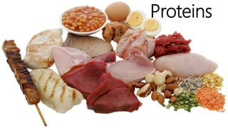 Proteins
 
