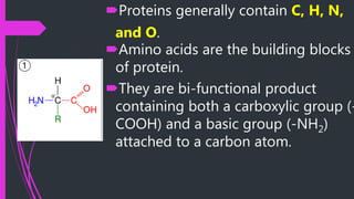 Proteins generally contain C, H, N,
and O.
Amino acids are the building blocks
of protein.
They are bi-functional product
containing both a carboxylic group (-
COOH) and a basic group (-NH2)
attached to a carbon atom.
 